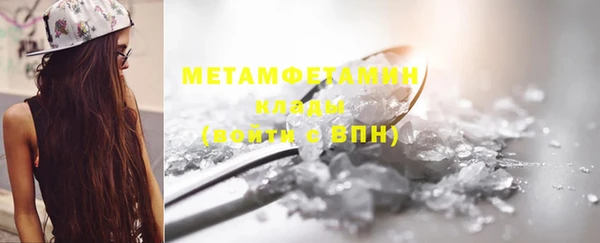 прущие грибы Верея