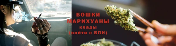 прущие грибы Верея