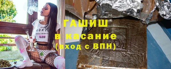 прущие грибы Верея