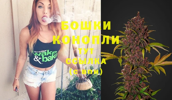 прущие грибы Верея