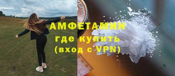 прущие грибы Верея