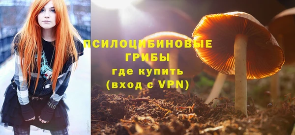 твердый Бородино