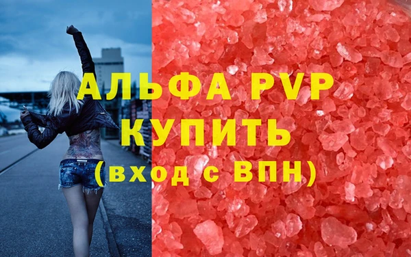 прущие грибы Верея