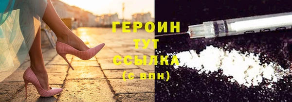 прущие грибы Верея
